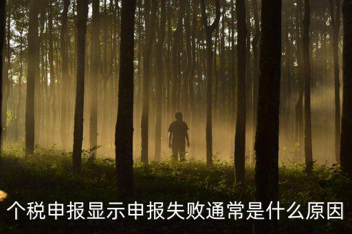 個稅申報系統(tǒng)為什么不能反饋，為什么個人所得稅申報以后反饋信息失敗