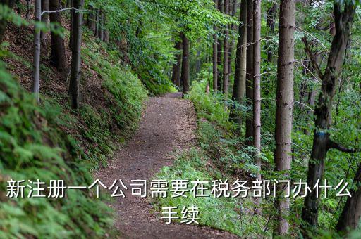 新辦企業(yè)需要到地稅辦理什么手續(xù)費(fèi)，新注冊(cè)一個(gè)公司需要在稅務(wù)部門(mén)辦什么手續(xù)