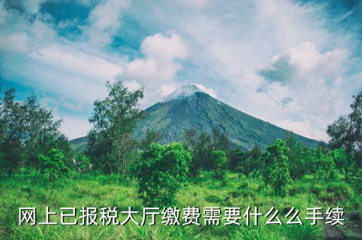到大廳劃稅款需要什么意思，納稅人到銀行劃解稅款的征收方式劃解是什么意思