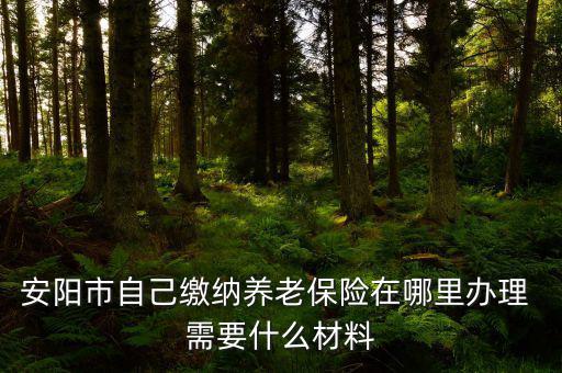 安陽地稅局交個(gè)人保險(xiǎn)在什么地方，安陽市醫(yī)保交費(fèi)在哪里地稅局