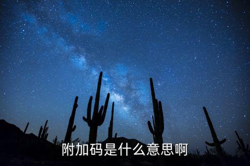遼寧查發(fā)票有一個(gè)附加碼是什么，發(fā)票真?zhèn)尾樵兇a是什么