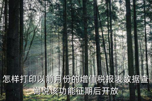 46月份征期是什么意思，怎樣打印以前月份的增值稅報(bào)表數(shù)據(jù)查詢說該功能征期后開放