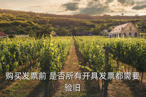 什么樣的發(fā)票需要驗(yàn)舊，發(fā)票驗(yàn)舊是什么意思