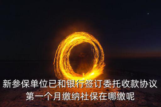 什么時候辦理授權(quán)劃繳協(xié)議，如何取得委托銀行劃轉(zhuǎn)地方稅費(fèi)授權(quán)書協(xié)議書去銀行還是去地稅