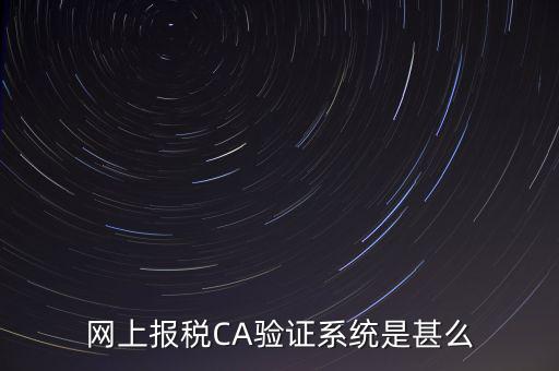 網(wǎng)上報稅CA驗(yàn)證系統(tǒng)是甚么
