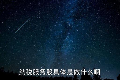 納稅服務(wù)股是什么意思，納稅服務(wù)股具體是做什么啊