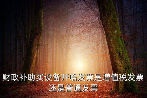 財政補助買設備開啥發(fā)票是增值稅發(fā)票還是普通發(fā)票