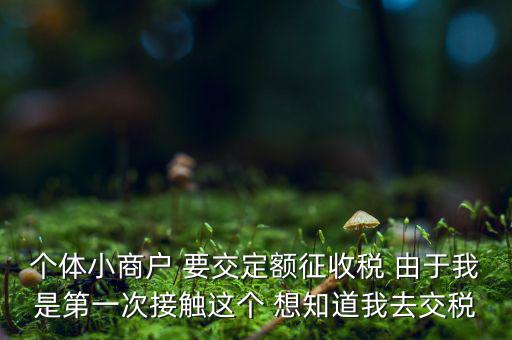 定額納稅到什么地方繳，定額征收的個(gè)體需繳納什么地稅