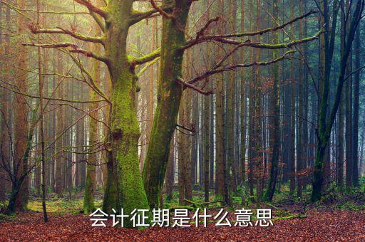 會計(jì)征期是什么意思