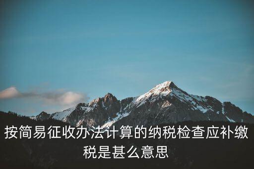 簡易征收什么意思，按簡易征收辦法計算的納稅檢查應補繳稅是甚么意思