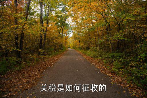 依據(jù)什么征收關稅，關稅是如何征收的
