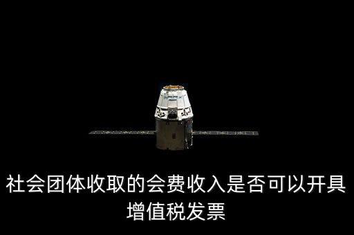 社會團(tuán)體收取的會費(fèi)收入是否可以開具增值稅發(fā)票