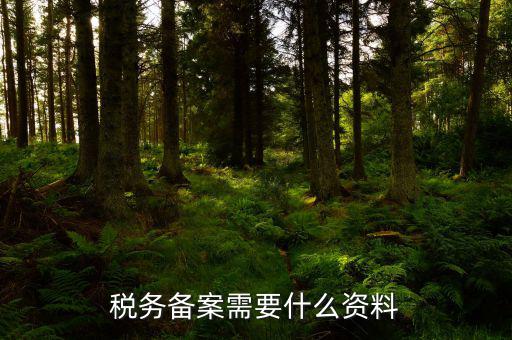消費(fèi)稅免稅備案需要帶什么資料，理跨境服務(wù)免稅備案手續(xù)時(shí)需要提交哪些資料