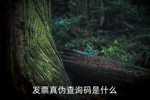 網(wǎng)絡(luò)發(fā)票查詢號是什么，發(fā)票真?zhèn)尾樵兇a是什么
