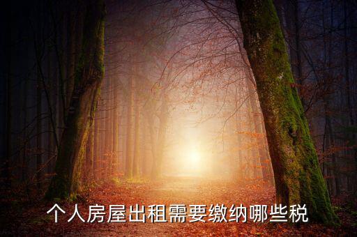 個人租房交什么稅，個人出租房屋要交什么稅費(fèi)