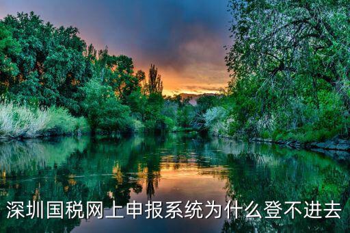 深圳國稅網(wǎng)上申報(bào)系統(tǒng)為什么登不進(jìn)去