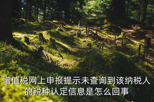 增值稅網(wǎng)上申報(bào)提示未查詢(xún)到該納稅人的稅種認(rèn)定信息是怎么回事