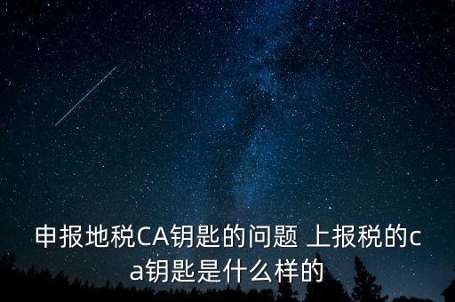 ca鑰匙是什么，申報地稅CA鑰匙的問題 上報稅的ca鑰匙是什么樣的