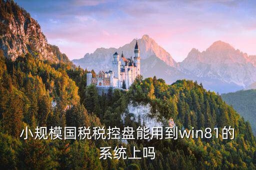 稅盤安裝支持什么系統(tǒng)下載，稅控發(fā)票開票軟件v2130170612能在win10上安裝嗎