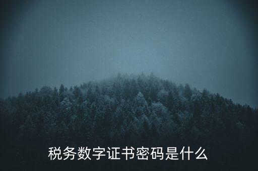 輸入稅務(wù)數(shù)字證書密碼是什么，稅務(wù)數(shù)字證書密碼是什么