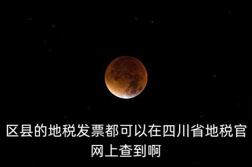 四川省網(wǎng)上稅務(wù)局用什么服務(wù)器，區(qū)縣的地稅發(fā)票都可以在四川省地稅官網(wǎng)上查到啊