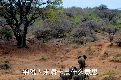 稅務(wù)未清分是什么意思，清稅證明已開(kāi)但是工商系統(tǒng)一定顯示稅務(wù)未清理完成是怎么回事