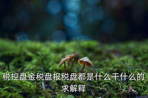 稅控盤(pán)金稅盤(pán)報(bào)稅盤(pán)都是什么干什么的求解釋