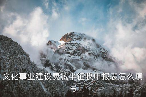 什么叫文化事業(yè)建設(shè)費(fèi)申報表，文化事業(yè)建設(shè)費(fèi)申報表怎么填