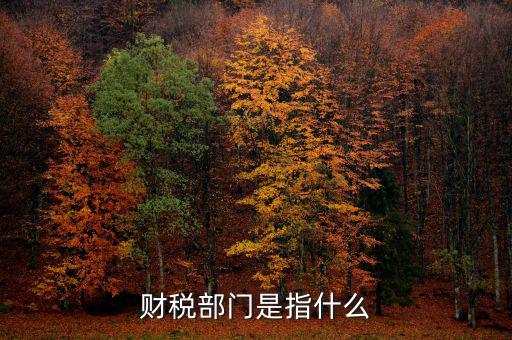 財稅征收保障網(wǎng)是什么，財稅部門是指什么