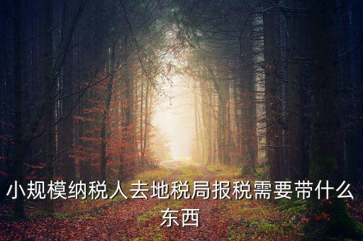 上門(mén)申報(bào)附加稅要帶什么資料，去地稅局繳納營(yíng)業(yè)稅金及附加需要帶什么資料