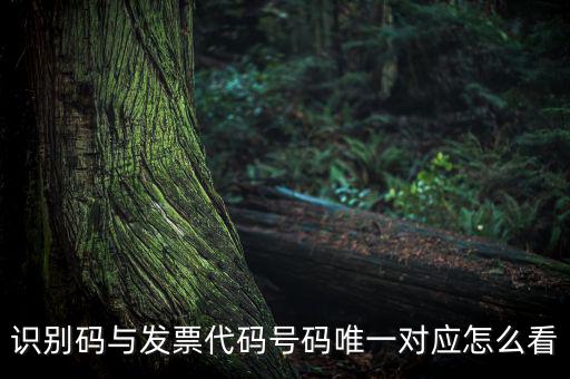 發(fā)票查詢識(shí)別碼是什么，識(shí)別碼與發(fā)票代碼號(hào)碼唯一對(duì)應(yīng)怎么看