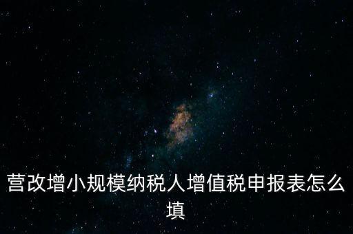 營(yíng)改增需要填什么表，營(yíng)改增小規(guī)模納稅人網(wǎng)上納稅申報(bào)需要填寫幾張表