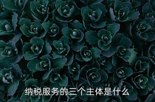 納稅服務(wù) 是什么，納稅服務(wù)的三個(gè)主體是什么