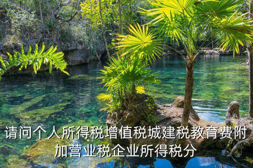 請(qǐng)問個(gè)人所得稅增值稅城建稅教育費(fèi)附加營(yíng)業(yè)稅企業(yè)所得稅分
