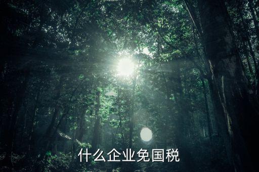 什么公司是免稅的，現(xiàn)在都有哪些行業(yè)免稅了