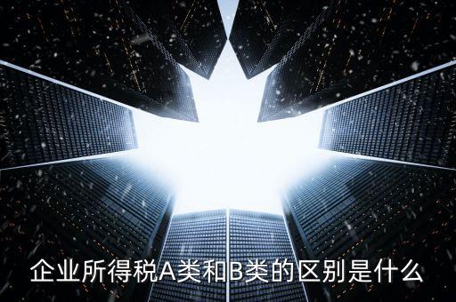 環(huán)境保護(hù)稅a類和b類什么區(qū)別，企業(yè)所得稅a類表和b類有什么區(qū)別