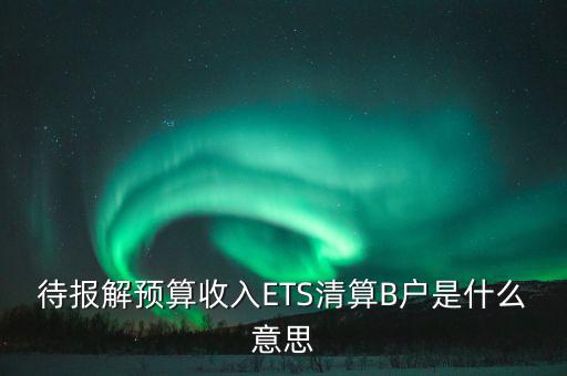 地稅b戶是什么，待報(bào)解預(yù)算收入ETS清算B戶是什么意思