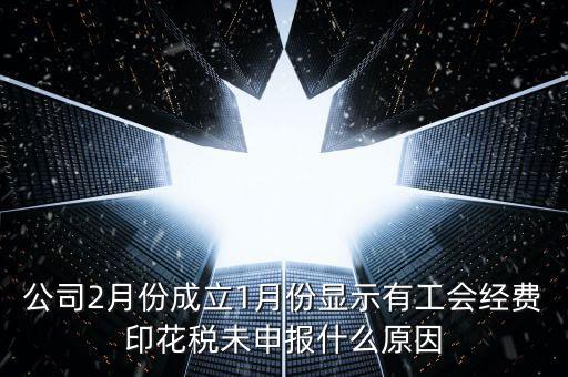 公司2月份成立1月份顯示有工會經(jīng)費(fèi)印花稅未申報(bào)什么原因
