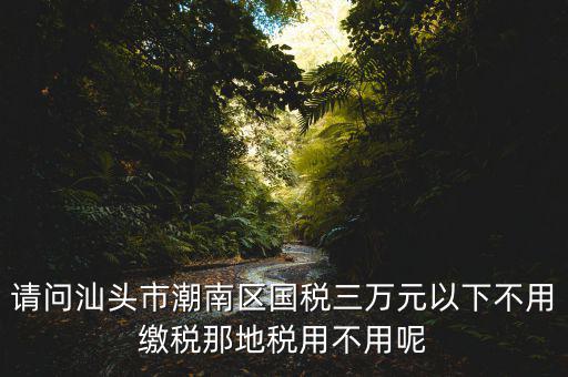 國(guó)稅3萬(wàn)元不到地稅要交什么稅，請(qǐng)問(wèn)汕頭市潮南區(qū)國(guó)稅三萬(wàn)元以下不用繳稅那地稅用不用呢