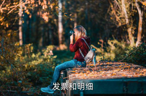 發(fā)票中的明細是什么意思，發(fā)票的明細條數控制在2000條是什么意思