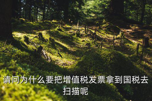 請(qǐng)問為什么要把增值稅發(fā)票拿到國(guó)稅去掃描呢