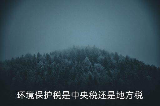 環(huán)境保護(hù)稅的機(jī)關(guān)是什么，環(huán)境保護(hù)稅由哪個(gè)機(jī)關(guān)負(fù)責(zé)征收