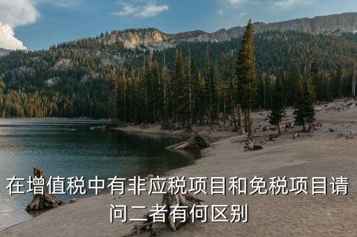 非免稅廠的性質(zhì)是什么意思，免稅公司和非免稅公司的區(qū)別最后可以舉例