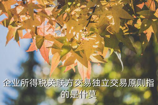 什么是合理商業(yè)目的，如何判斷企業(yè)實(shí)施的納稅籌劃不具有合理商業(yè)目的