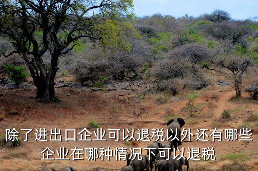 中國什么公司可以退稅，除了進出口企業(yè)可以退稅以外還有哪些企業(yè)在哪種情況下可以退稅