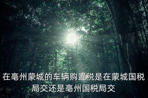 國(guó)稅局掛牌是什么意思，濮陽(yáng)摩托辦照