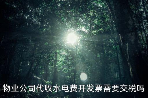 物業(yè)水費(fèi)要交什么稅，2022年4月物業(yè)公司開水電費(fèi)發(fā)票稅率