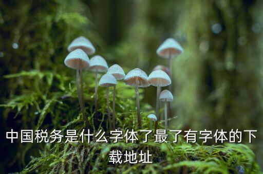 中國稅務(wù)是什么字體，中國稅務(wù)是什么字體了最了有字體的下載地址