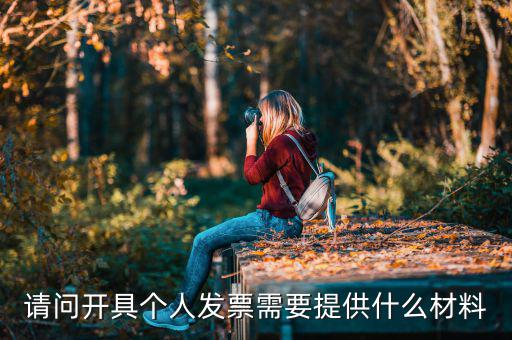 個人發(fā)票需要什么資料，個人購物開增值稅普通發(fā)票需要什么資料