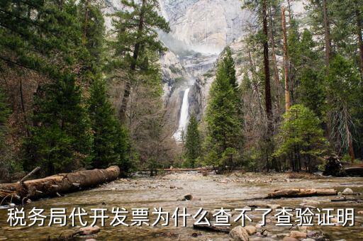 稅務(wù)局代開發(fā)票為什么查不了查驗(yàn)證明
